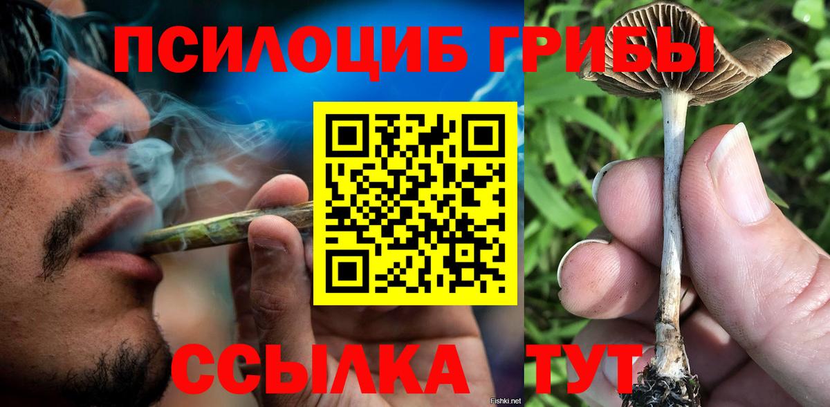 Галлюциногенные грибы Cubensis  Вход с VPN  закладки  Баксан 